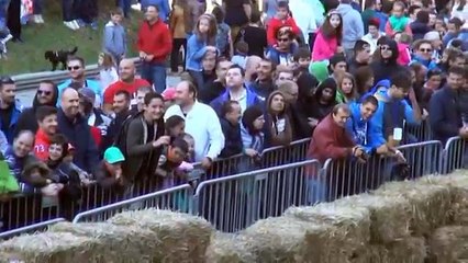 Motorsuz el yapımı araç yarışı nefes kesti