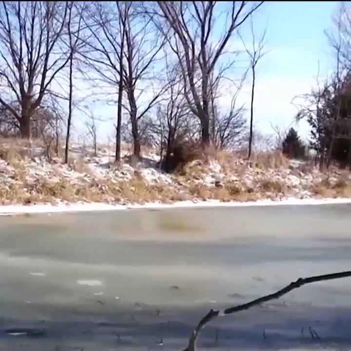 Ha Ha Ha very funny | try not to laugh