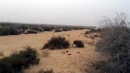 Sports truck at Cholistan rally 2016 had a bad-luck | Watch Me