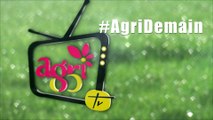 #AgriDemain : la table ronde lait débute les tables rondes filières