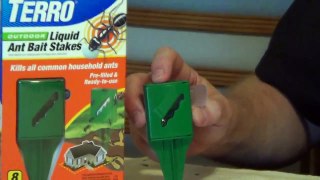 Borax Ant Killer - How to Keep Ants Out of Your House