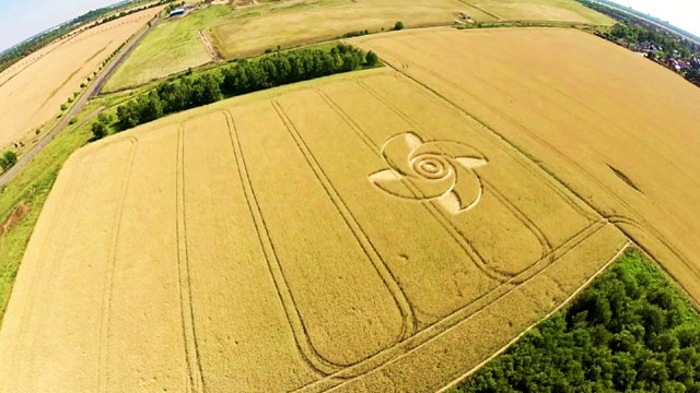 Рисунки на полях, Германия, 7 июля 2015г