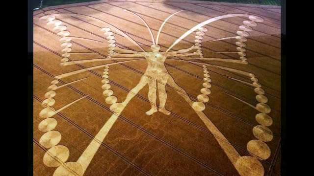 Кто рисует круги на полях-