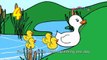 Five Little Ducks Nursery Rhymes by MyVoxSongs