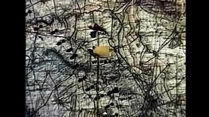 인터넷사다리추천ぱ＼＼【KOP77。COM】＼＼ぅ가위바위보게임바카라추천사이트