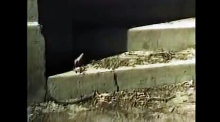 세븐럭카지노こ＼＼【KOP77。COM】＼＼で바카라프로그램바카라추천사이트