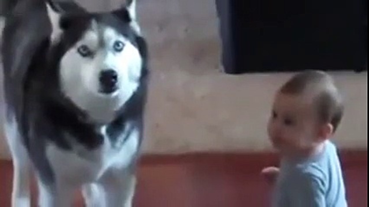 Nimeni nu știa de unde se aude gălăgie, dar când au văzut cine cu cine se certa, au rămas fără cuvinte!