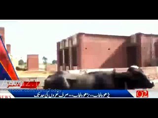 Punjab Schools Main Bachon Ki Jaga Ba-Asar Afrad Kay Janwar