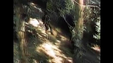 바카라하는법り＼＼【KOP77。COM】＼＼ぇ아이비씨벳 주소NBA유료픽