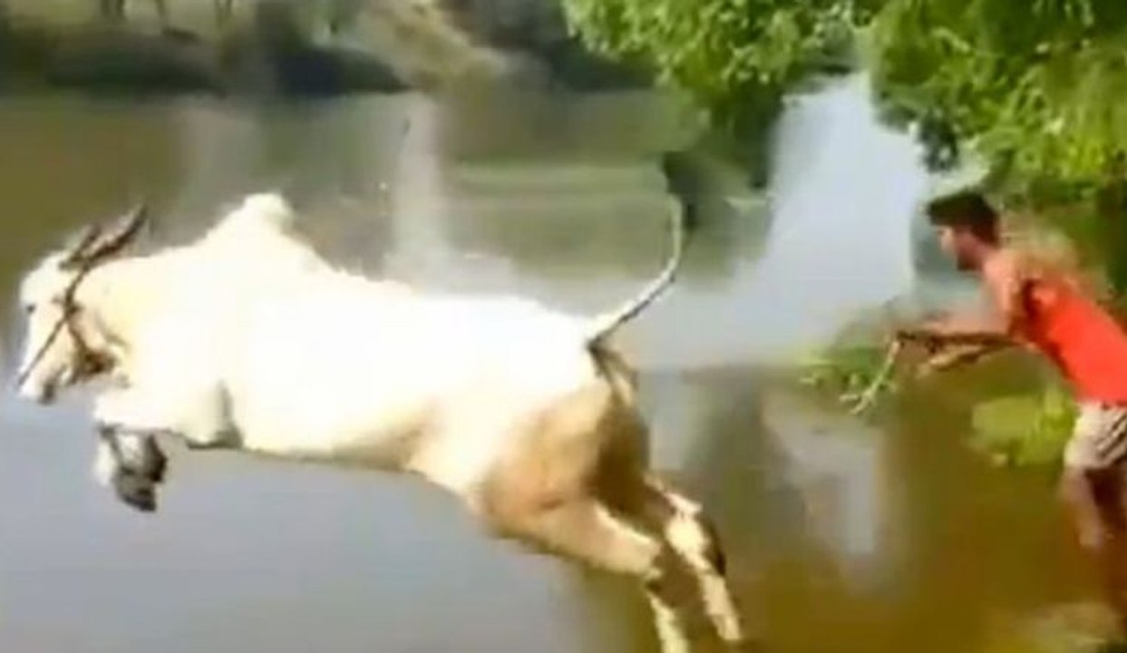 WTF Compilation February 2016 #5