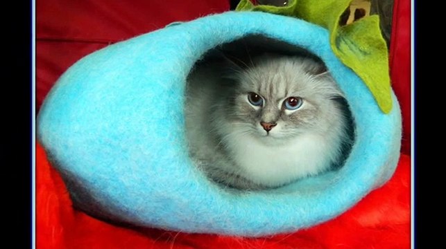 Домик когтеточка для любимой кошки