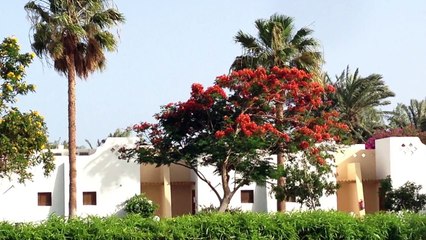 Отель ibis Styles Dahab Lagoon - Ибис Стайл - Египет - ОБЗОР ОТЕЛЯ -ОТЗЫВ об Отеле