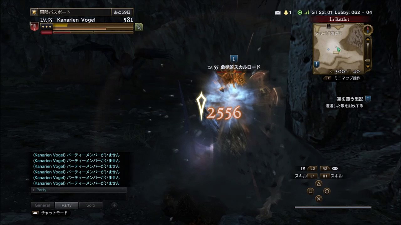 空を覆う黒影