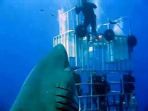 O MAIOR TUBARÃO BRANCO já filmado - Deep Blue The biggest great white shark