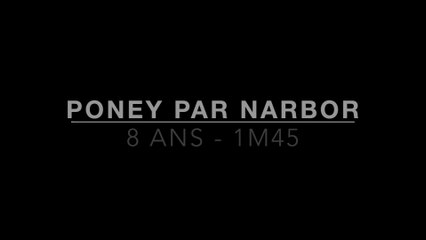 Bon Poney Par MAD DU BOSC (PFS) par NABOR (Deuts Pony)