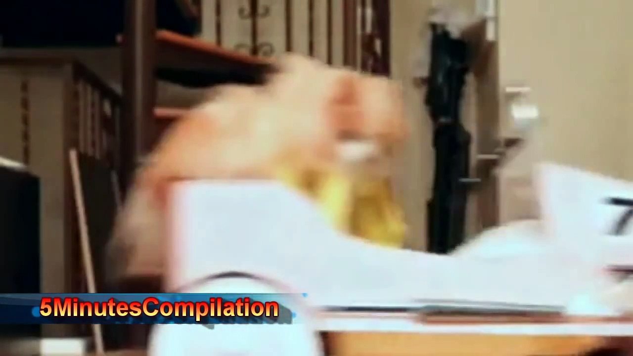Funny Boo Video Compilation 2014 [HD] 5MC