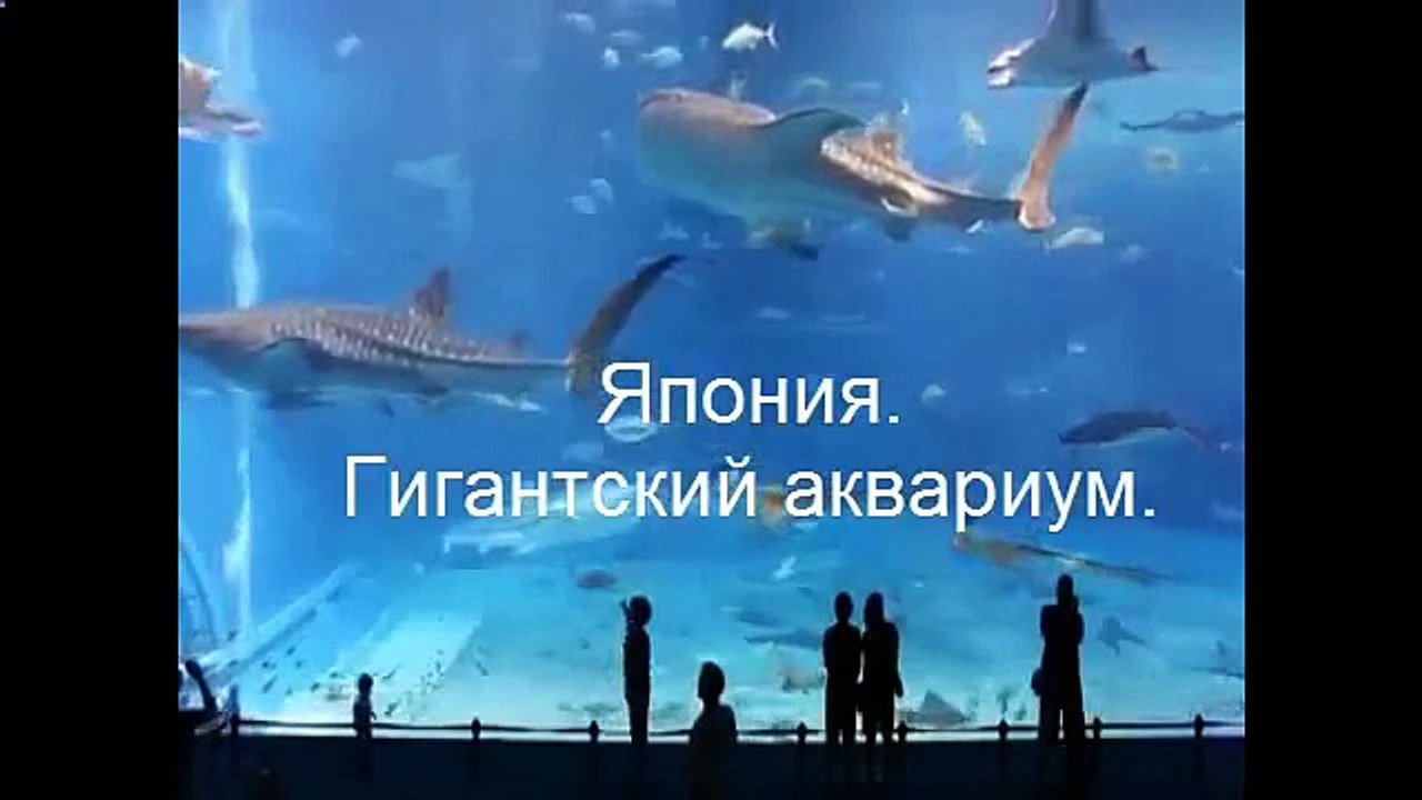 Япония Гигантский аквариум