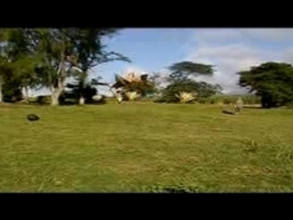 Salto bois-madame 974