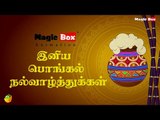 Magicbox Animation Wishes You A Happy Pongal