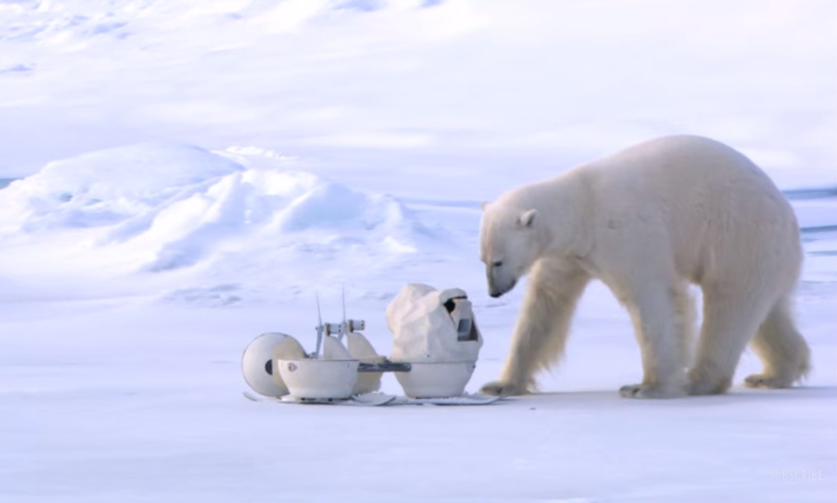 Un ours polaire joue avec une caméra