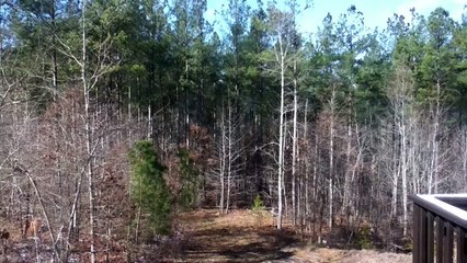 Z57 presents Footprints in the Snow