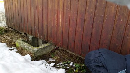 Ski semnoz février 2016 3