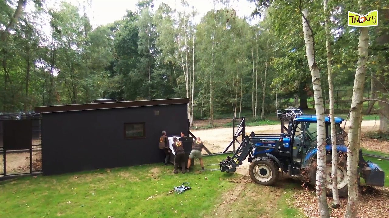 VIS MA VIE DE HYENE - PARTIE 1