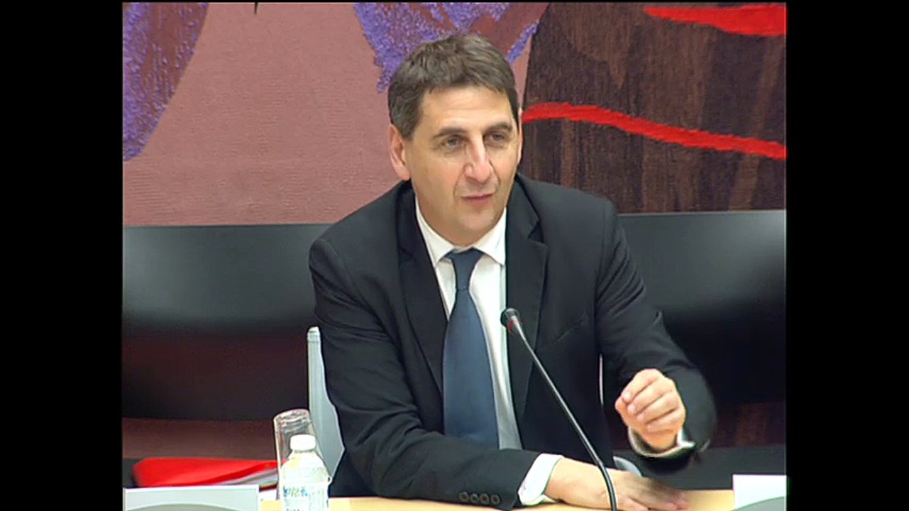 réponse Goldberg rapport d'information foncier privé logement