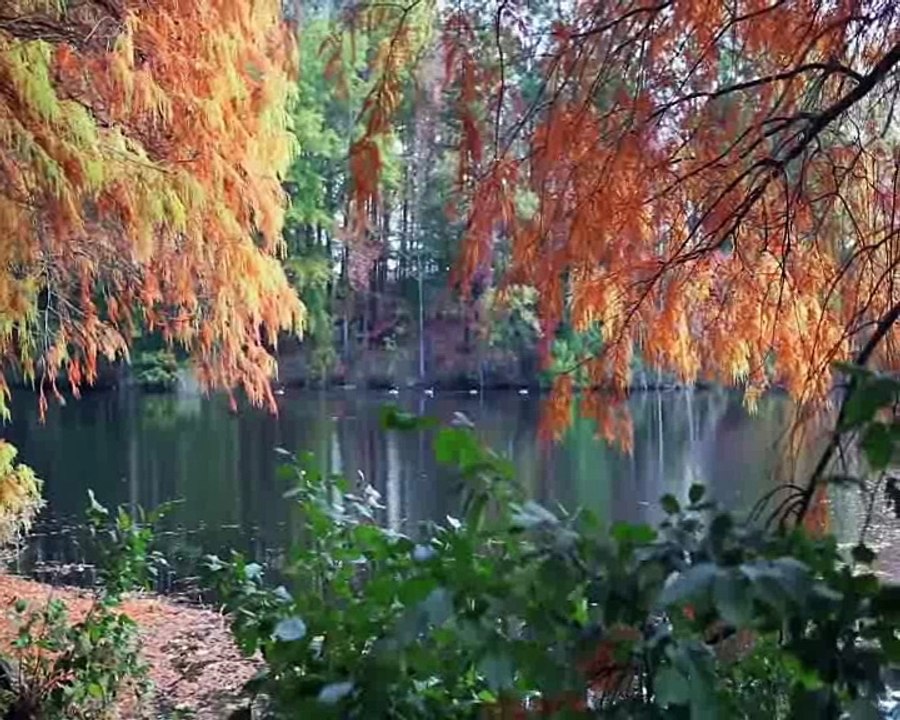 Pytamy  tekst i wokal Aleksandra Pławińska muzyka Sky Van Dreamer)