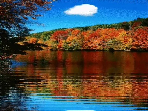 Złoty Pociąg tekst i wokal Aleksandra Pławińska muzyka Sky Van Dreamer -