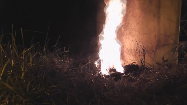 Détruire un nid de guepes sous-terrain avec du Napalm