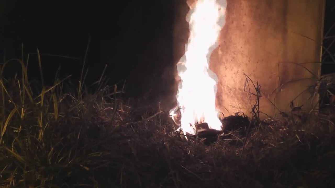 Détruire un nid de guepes sous-terrain avec du Napalm