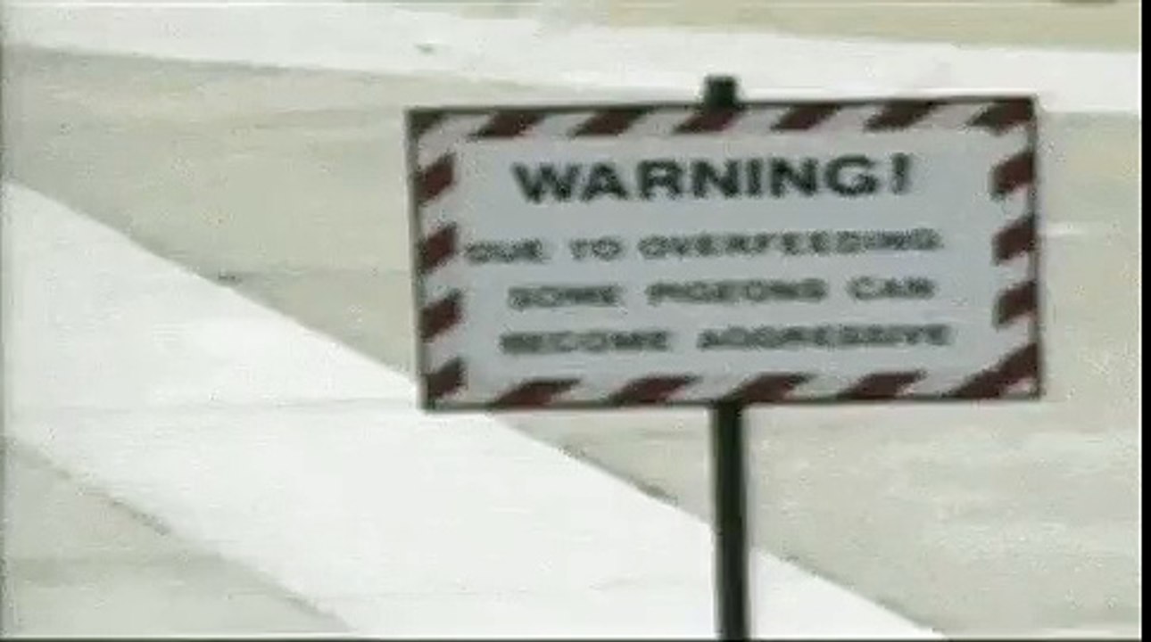 12737423_863782300410677_1186286203_n