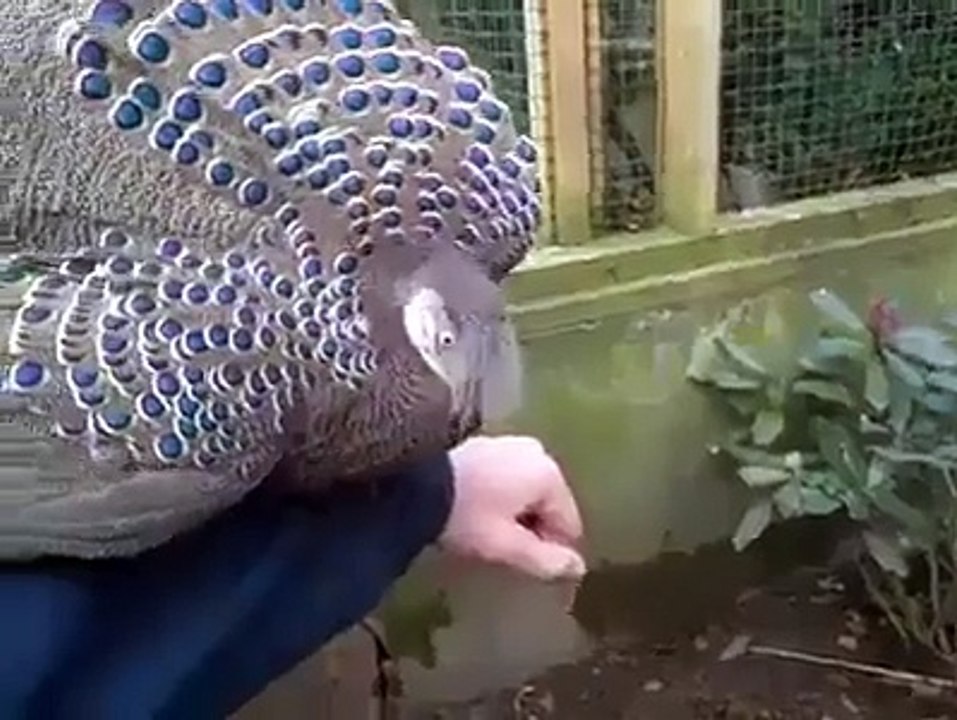 سبحان اللہ