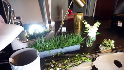 RAY'S WEEK- 22 - Goodbye Dallas, Hello Austin!