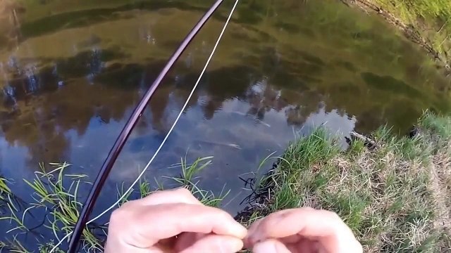 Fly fishing trout and chub on artificial flies.