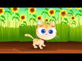 Pussy Cat Pussy Cat - English Nursery Rhymes - Cartoon And Animated Rhymes