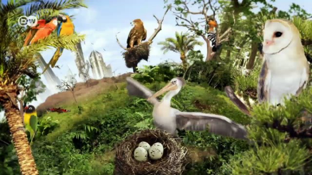 Biodiversity in Cambodia | Global 3000