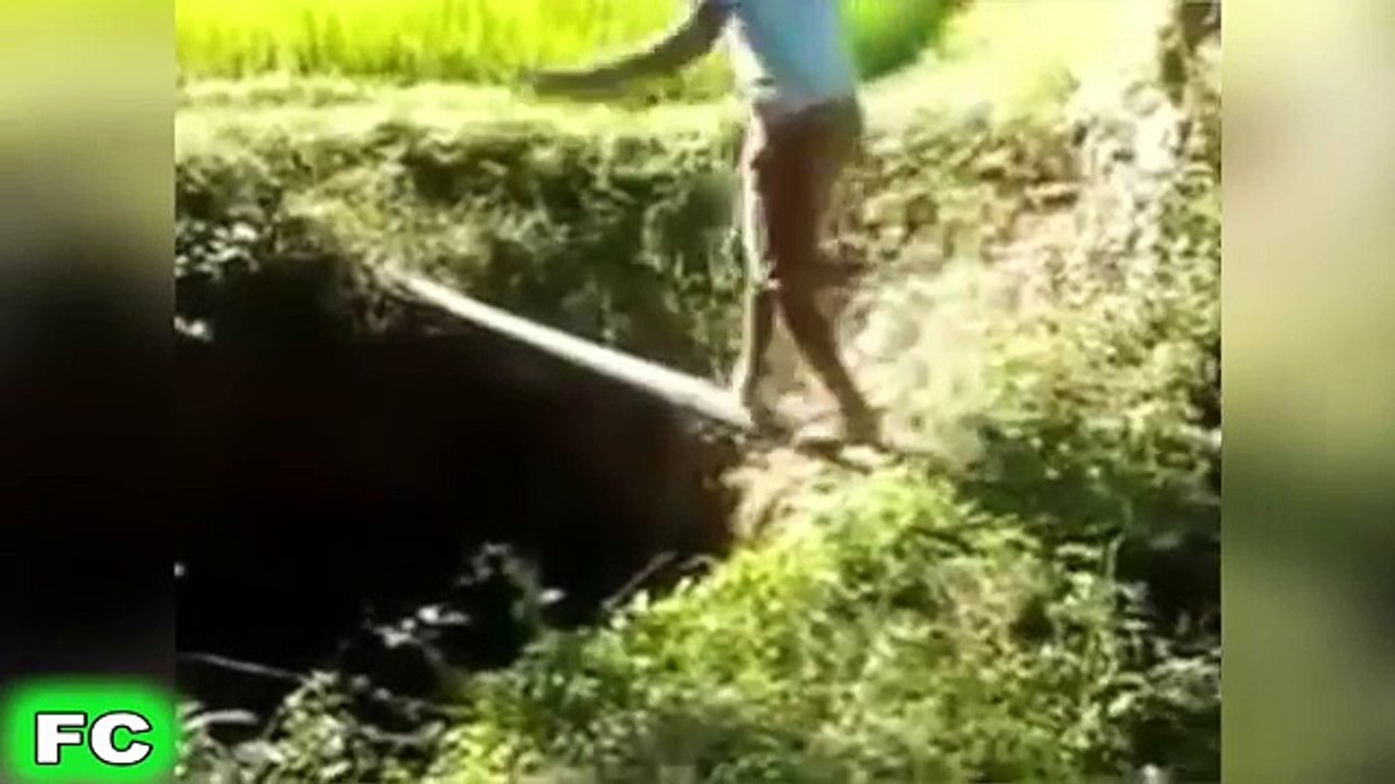 Best FAILS & Funny Videos ★ types of movies ★ FailCity