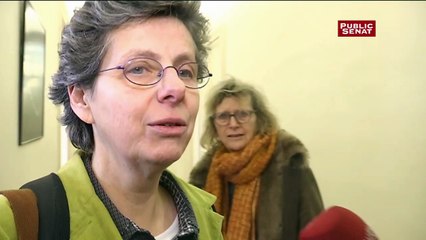 Les sénateurs Corinne Bouchoux, Joël Labbé et Aline Archimbaud sur la situation du groupe écologiste du Sénat