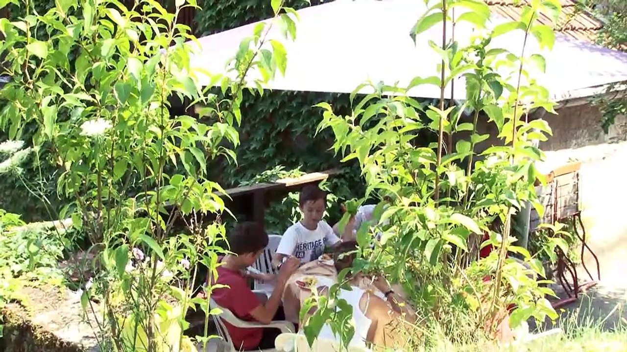 Qu'est-ce que la solidarité ?