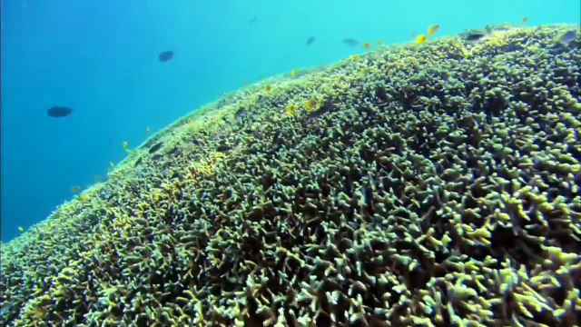 The Search For Earth Like Planets Version 1