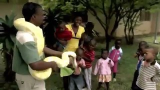 The Deadly BLACK MAMBA Snake - Africas Most Dangerous Snakes [Nature Wildlife Documentary]