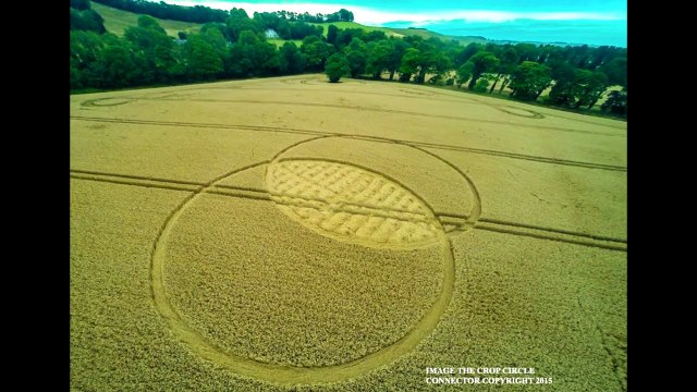 Рисунки на полях, Уилтшир, Англия, 9 августа 2015г