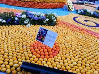 BEAUX ET BONS CITRONS