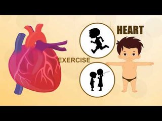 Parts Of The Heart For Kids