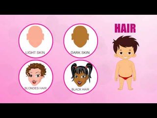 Hair - Human Body Parts - Pre School - Animated Videos For Kids