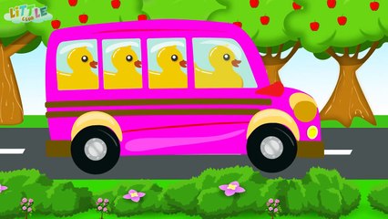 Wheels on the Bus Go Round and Round - Wheels on the Bus Duck Song
