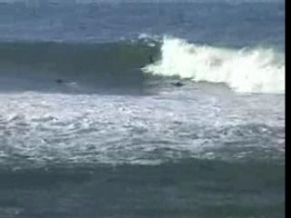 Primera edición SMG