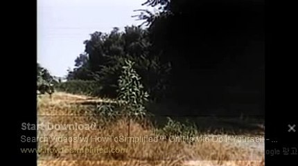 토토배당률【 TNT900。COM 】스보벳 주소 바카라시스템베팅